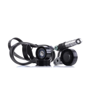Image de INA 529 0075 10 Jeu de courroies trapézoïdales à nervures Contrôler et changer roue libre alternateur si nécessaire AUDI: A5 B8 Coupe, A8 D3