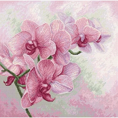 Image de Luca S B7009 Kit de broderie au point croix Motif orchidées gracieuses