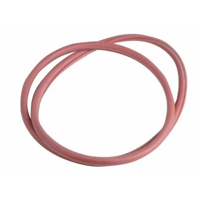 Image de FRISQUET Joint couronne cd après 05 : F3AA40852