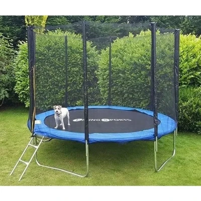 Image de Trampoline bleu 252 cm avec filet et échelle jusqu&#039;à 80 KG