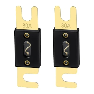 Image de Heschen ANL Fuse 30 Lot de 2 fusibles A pour système audio voiture Doré et noir
