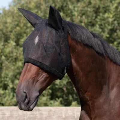 Image de Masque anti mouches pour cheval QHP Fly