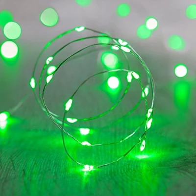 Image de Lights4fun Guirlande Lumineuse à Piles avec 20 Micro LED Vert sur Câble Argenté