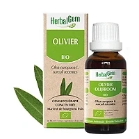 Image de Herbalgem Olivier Bio Complément Alimentaire Extrait De Bourgeon Frais Pour Circulation Sanguine 30 ml