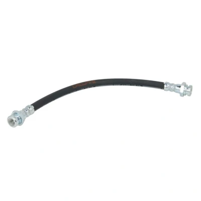 Image de DELPHI LH7190 Flexible De Frein 301 M10x1 INT DF SUZUKI: Alto VI