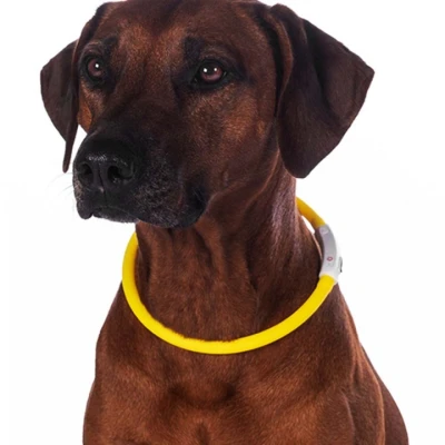 Image de HKM Collier LED Jaune