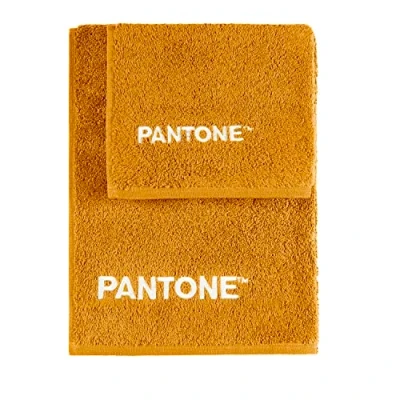 Image de SWEET HOME Pantone™ Set de Serviettes 1+1 composé par invité 40 x 50 cm + Visage 100 avec Broderie Pantone™, certifié Oeko Tex, Ocra