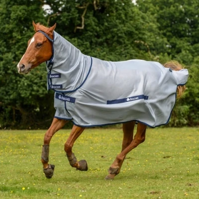 Image de Bucas Buzz Off Full Neck Bleu 85/107