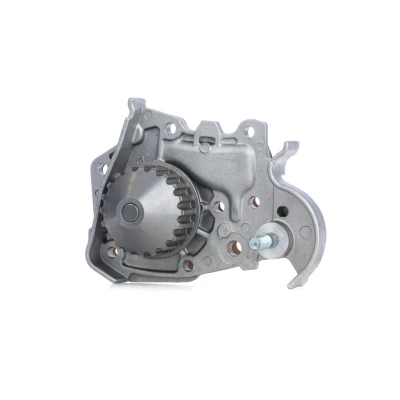 Image de DOLZ R135 Pompe à eau 20 avec poulie RENAULT: CLIO 2, Kangoo I, II Express, DACIA: Sandero Logan I MCV, Berline
