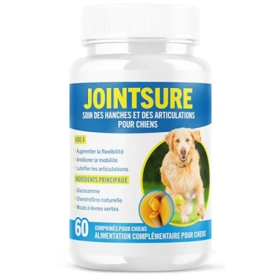 Image de JOINTSURE Senior comprimés Anti inflammatoire pour Chien, arthrose Chien Boite de 60 à Base glucosamine, Moule Verte Aide la mobilité articulaire, renforce Les articulations.