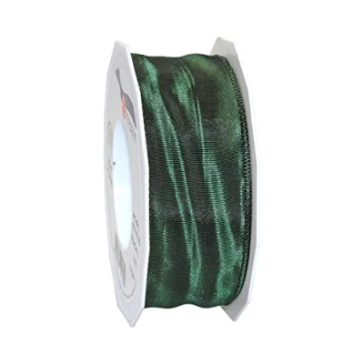 Image de PRÄSENT Lyon Ruban Taffetas Fil de Fer 40 mm 25 m, Vert Menthe