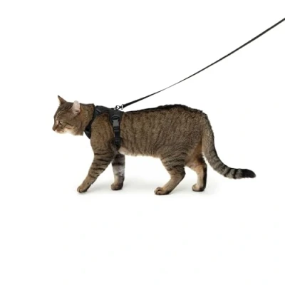 Image de LucyBalu® Explorer Harnais Chat avec Laisse intégrée pour Anti évasion boîtier AirTag intégré et Fugue en Y Sable M/L