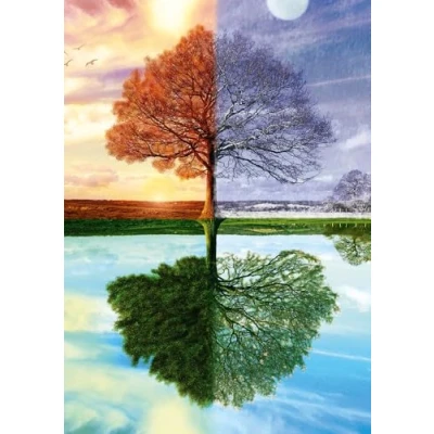 Image de Schmidt , The Seasons Tree Puzzle 500pc, Puzzle, Ages 12+, 1 Players