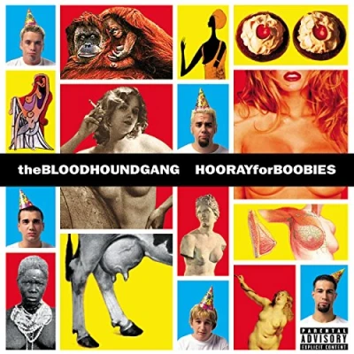 Image de Hooray for Boobies (180g Splatter Color 2lp) [Import]