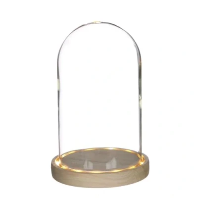 Image de Graine Créative Cloche en Verre Lumineuse 21,5 cm x Ø 14