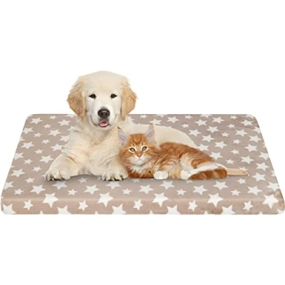 Image de EMPSIGN Panier pour Chien S, 61x45x6,6cm, Coussin Petit Taille Lavable en Machine, Tapis Imperméable, Matelas Réversible (Frais et Chaud), Beige