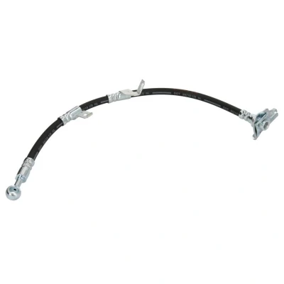 Image de DELPHI LH7395 Flexible De Frein 490 120 SF