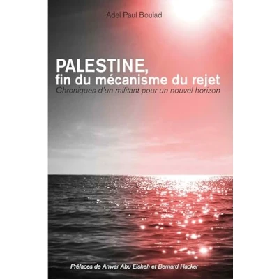 Image de Palestine, fin du mécanisme rejet: Chroniques d&#039;un militant pour un nouvel horizon