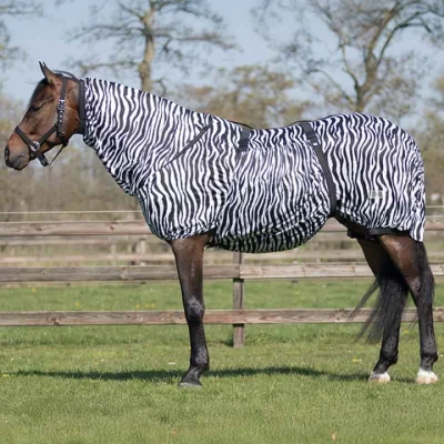 Image de Couverturel anti eczéma pour cheval QHP