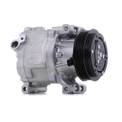 Image de DENSO DCP09061 Compresseur De Climatisation SCSB06C 12 PAG 46 YF R 134a, 1234yf avec embrayage magnétique FIAT: Punto II 3/5 portes, Panda 5 portes