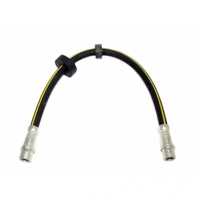 Image de DELPHI LH0336 Flexible De Frein 374 M10x1 Int SF VOLKSWAGEN: Transporter 4 Bus,