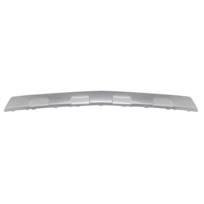Image de Baguette décorative/de protection, pare chocs BLIC 6502 07 5029921P