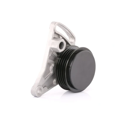 Image de FEBI BILSTEIN 11341 Poulie Tendeur AUDI: A4 B6 Avant, B5 Berline, A6 C5 VOLKSWAGEN: Passat GP Break, Berline oscaro,