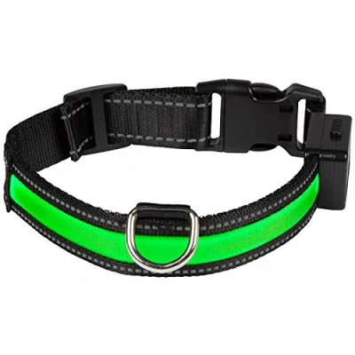 Image de EYENIMAL Collier Lumineux Rechargeable USB pour Chien Vert 55 60 cm Taille L