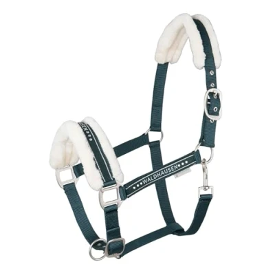 Image de WALDHAUSEN Licol Elegant VB Vert