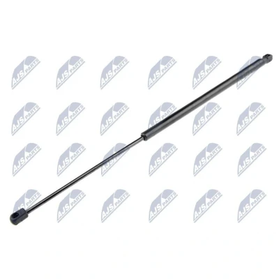 Image de NTY AE CT 018 Vérin de coffre 565 640 pour véhicules avec vitre arrière fixe CITROËN: C4 Picasso 1