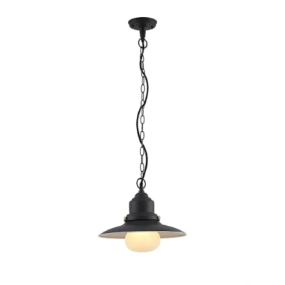 Image de Lindby Luminaire extérieur Roisin à intensité variable (Bord de mer) en Gris Métal (1 lampe,à E27), Suspension