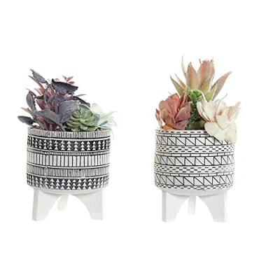 Image de Plante décorative cactus polyéthylène résine multicouleur 11 x 21 cm (2 unités)