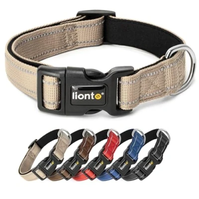 Image de lionto Collier pour Chien rembourré en Nylon réfléchissant imperméable réglable, Taille XL, Beige