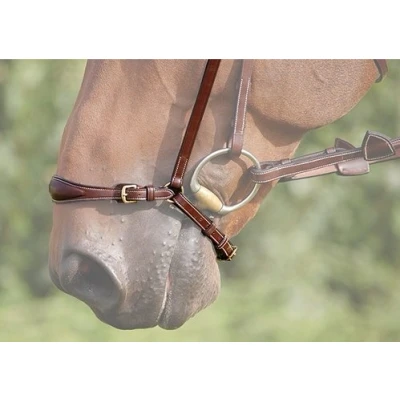 Image de Dyon Muserolle de redressage sans martingale Brun