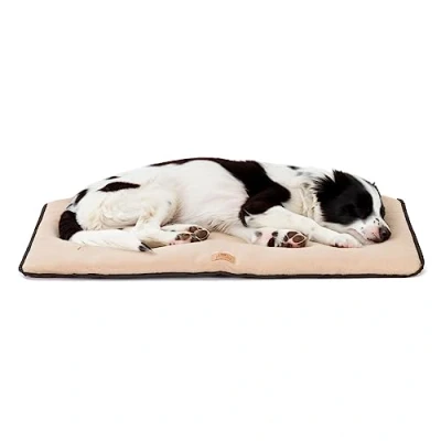 Image de Ferplast Lit pour Chien Coussin Taille Moyenne Tissu Double Face Anti Rayures et Imperméable, Matelas Chaud en Micropolaire Lavable Machine à 30 83 x 50 3,5 cm.Marron