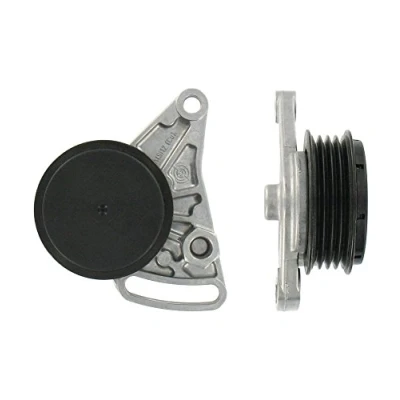 Image de SKF VKM 31059 Poulie Tendeur AUDI: A4 B6 Avant, A6 C5 B5 Berline, VOLKSWAGEN: Passat GP Break, Berline