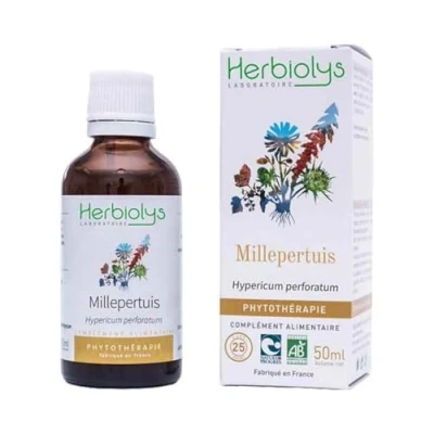 Image de Phytothérapie bio Millepertuis perforé Hypericum perforatum