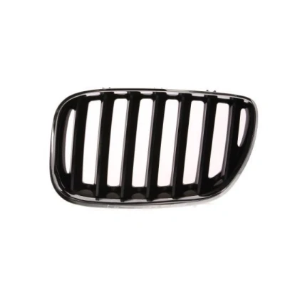 Image de Grille de radiateur BLIC 6502 07 0095995P Gauche