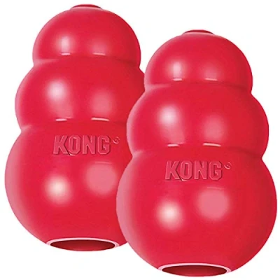 Image de KONG Lot de 2 Grands Classiques pour Chien