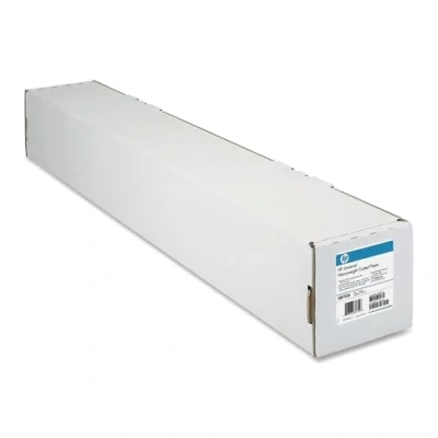 Image de HP C6019B Grand format