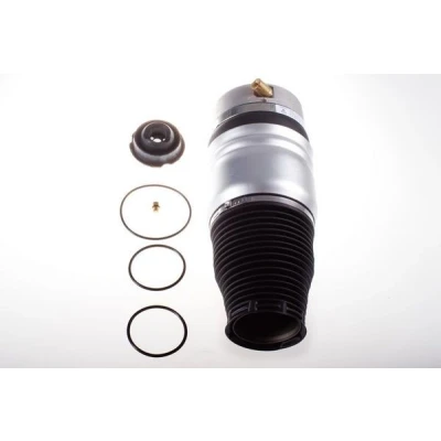 Image de Ressort pneumatique, châssis DENCKERMANN DSA113G