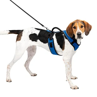 Image de PetSafe Harnais pour Chien EasySport avec Poignée de Contrôle, Réfléchissant, Ajustable Confortable, Rembourré Bleu, L