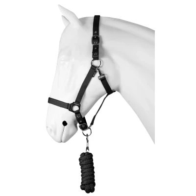 Image de Horka Ensemble Licol Dime Noir Cob