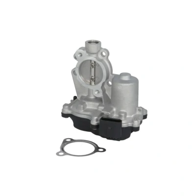 Image de Soupape AGR DELPHI EG10630 12B1