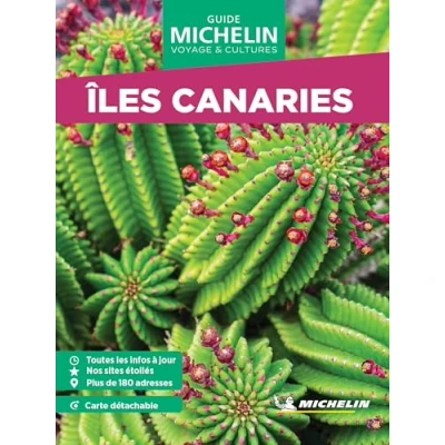 Image de Guide Vert WE&amp;GO Îles Canaries Livre d’occasion Correct