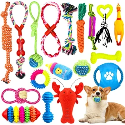 Image de JOYBOY Jouets pour Chien,18 pièces Jouet Chien Corde,Durables Indestructible à Mâcher Corde de Dentition Petit et Moyen