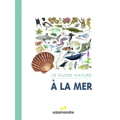 Image de Le guide nature à la mer