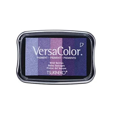 Image de Rayher 2839739 tampon encreur pigmenté Versacolor à pigments séchage lent idéal pour vos créations de carterie &amp; scrapbooking cousin 4,7 x 7,5 cm 5 coloris aux tons pourpres