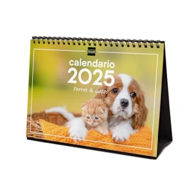 Image de Finocam Calendrier photo de bureau pour écrire 2025 mois vue janvier décembre (12 mois) Chiens et chats Espagnol