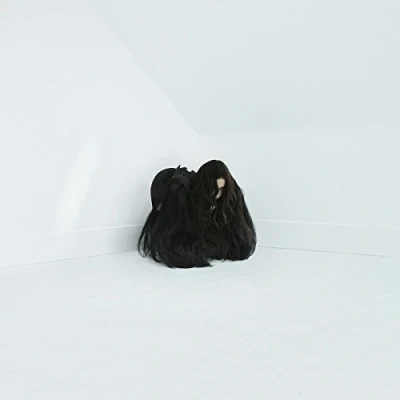 Image de Hiss Spun
